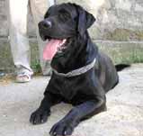 ���� � ������� ������