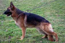 : Texas von Baccara